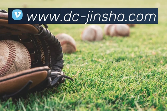 金沙娱乐服务体系